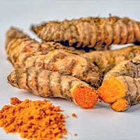 Turmeric Icon